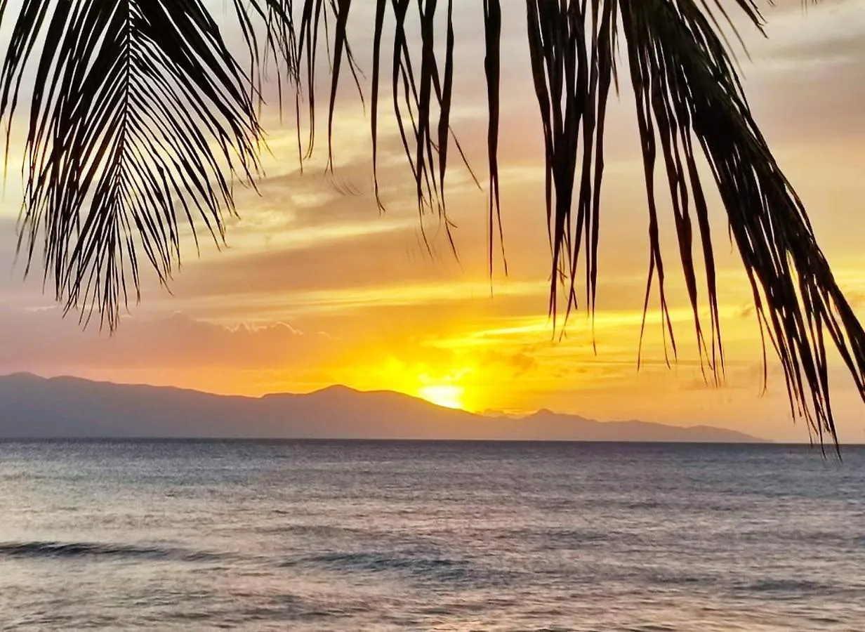 Coco Et Canne Port-Louis Guadeloupe
